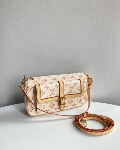 Louis Vuitton Maxi Multi Pochette Accessories Bag